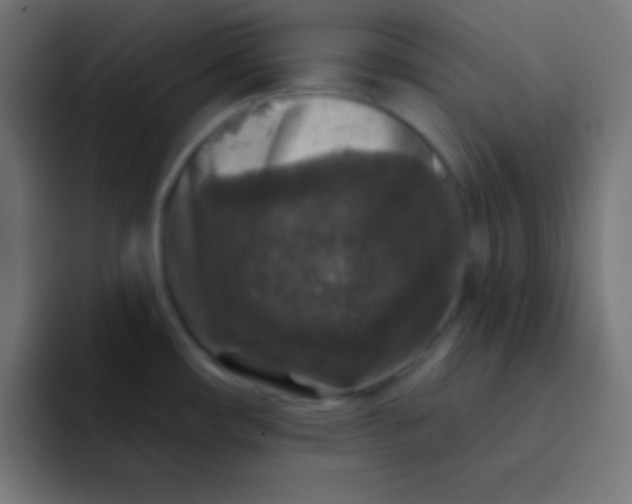 X0000092081482200710031127