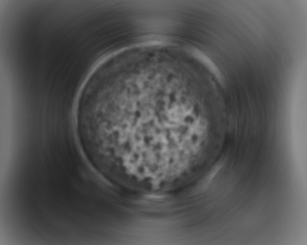 X0000092081483200710031127