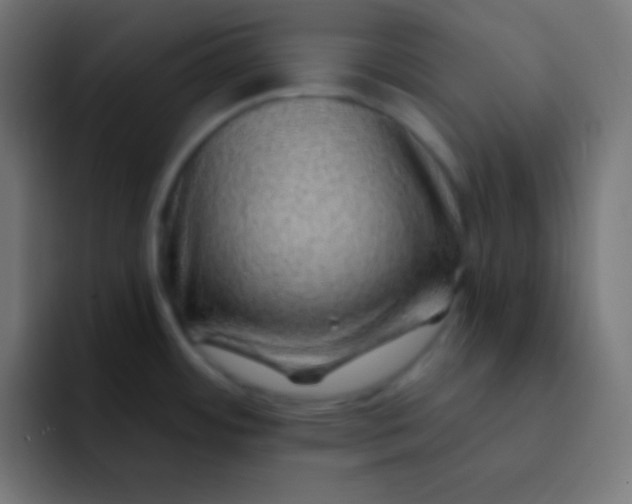 X0000092081484200710031127