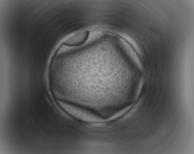 X0000092081486200710031127