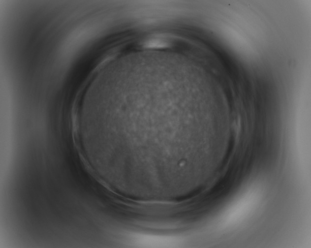 X0000092081487200710031127