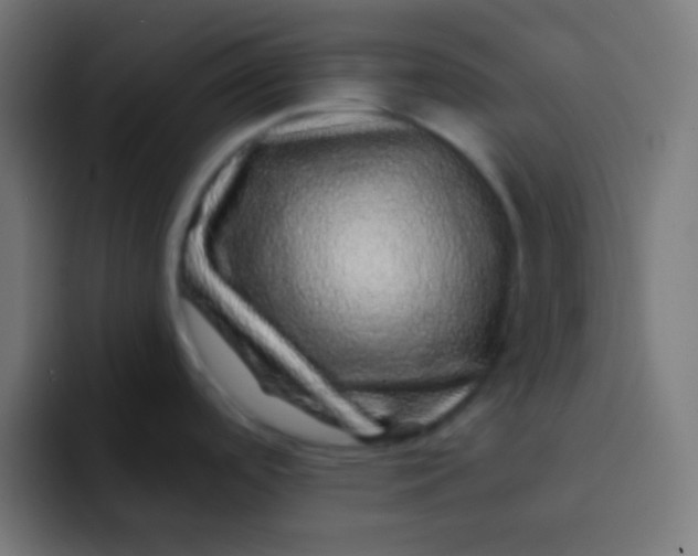 X0000092081488200710031127