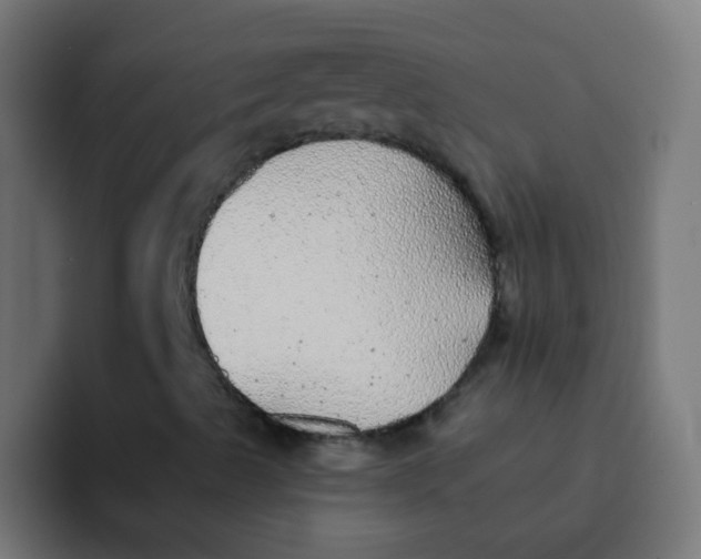 X0000092081489200710031127