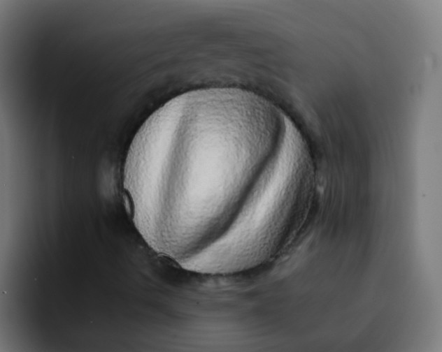 X0000092081490200710031127