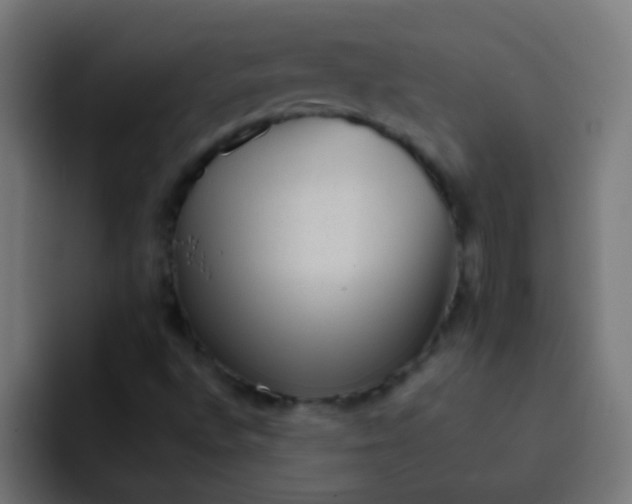 X0000092081496200710031127