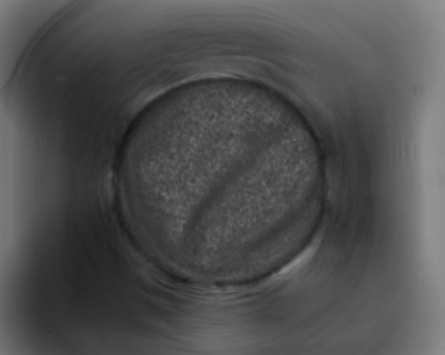 X0000092081497200710031127