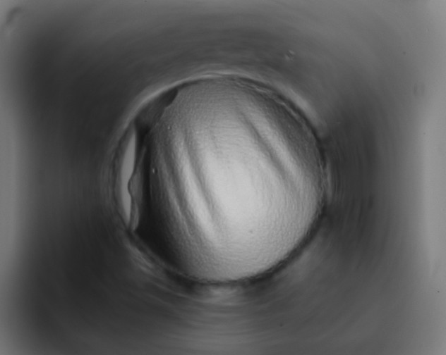 X0000092081501200710031127