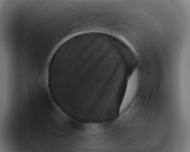 X0000092081508200710031127