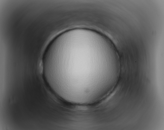 X0000092081509200710031127