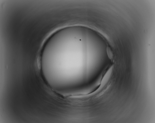 X0000092081510200710031127