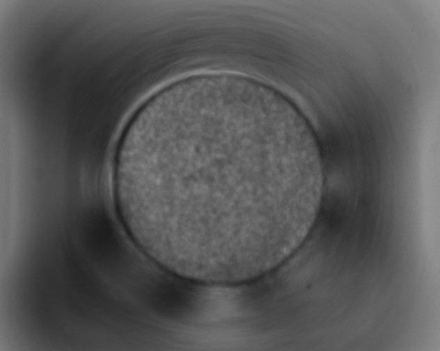 X0000092081514200710031127