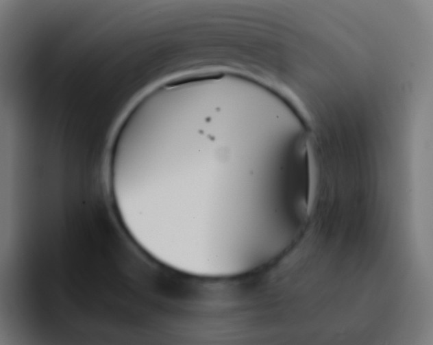 X0000092081516200710031127