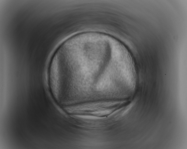 X0000092081517200710031127