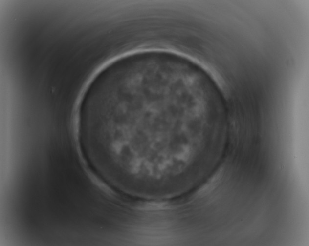 X0000092081519200710031127