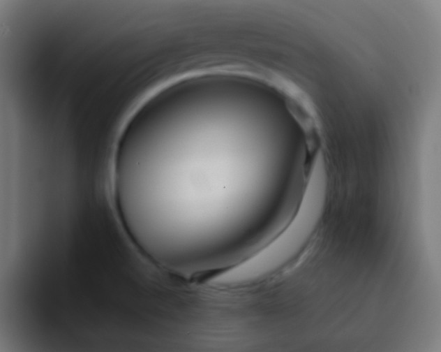 X0000092081520200710031127