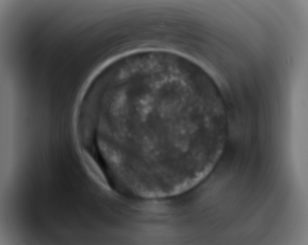 X0000092081527200710031127