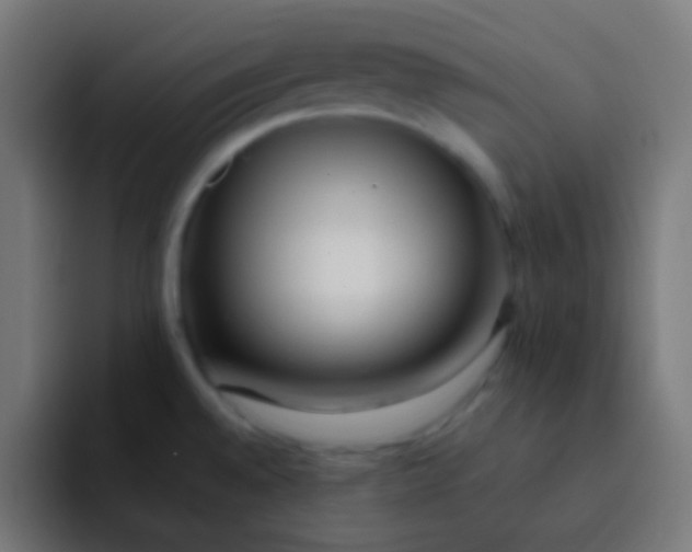 X0000092081528200710031127