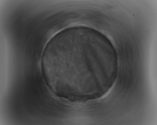 X0000092081529200710031127