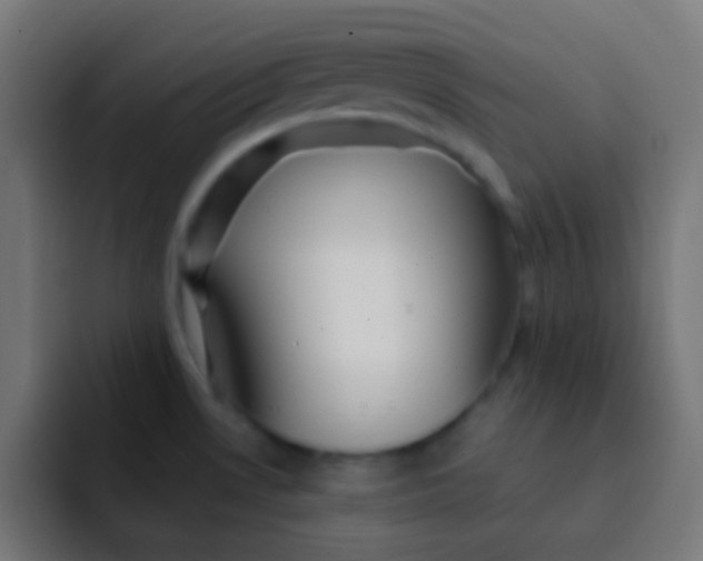 X0000092081530200710031127