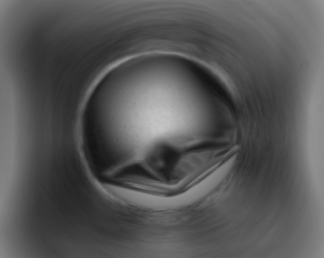 X0000092081531200710031127