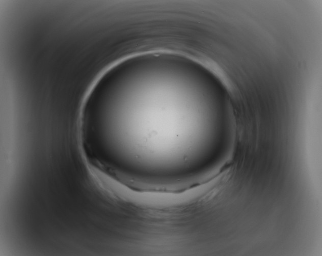 X0000092081532200710031127