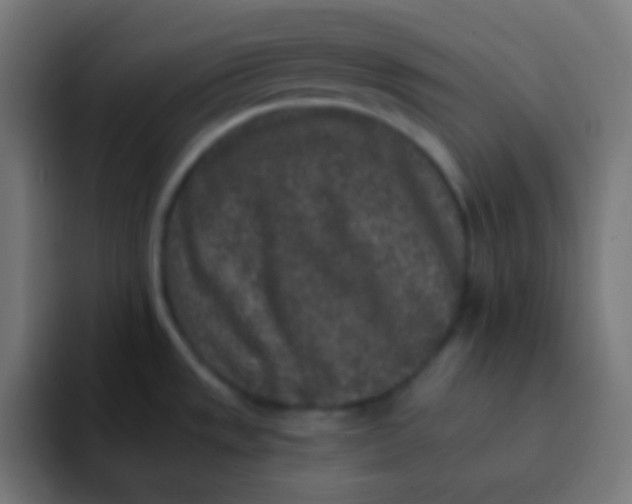 X0000092081533200710031127