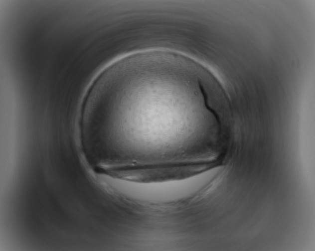 X0000092081534200710031127