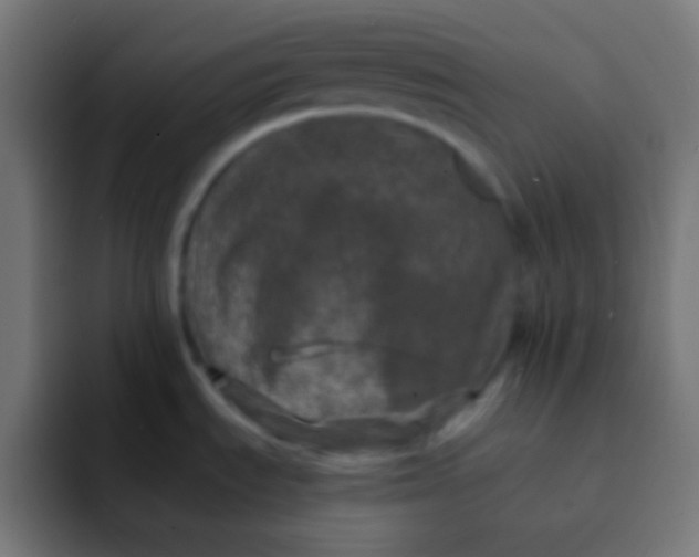 X0000092081535200710031127