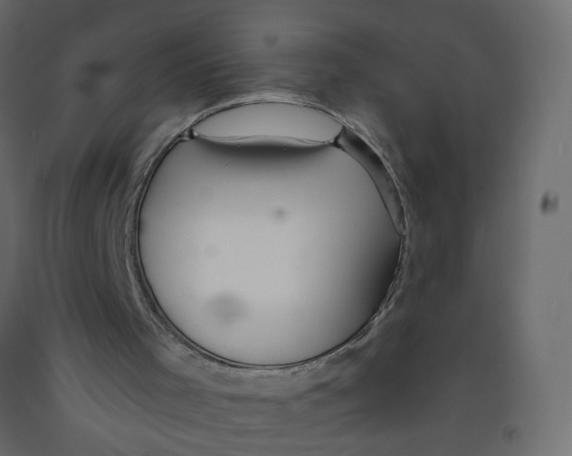 X0000092080001200710101050