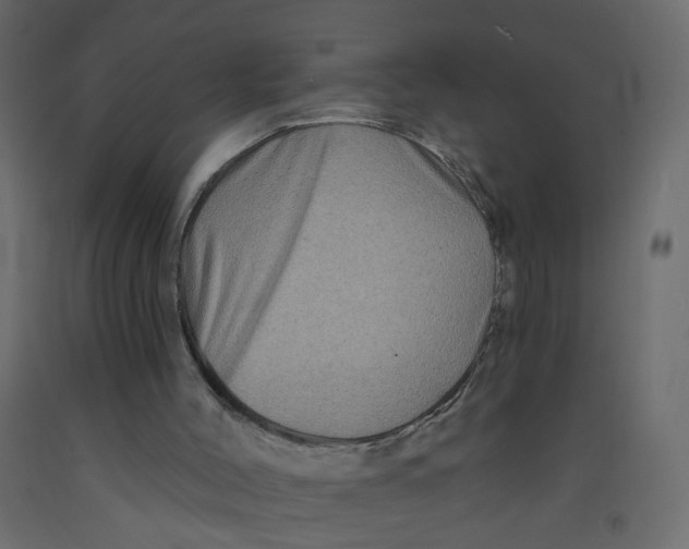 X0000092080004200710101050