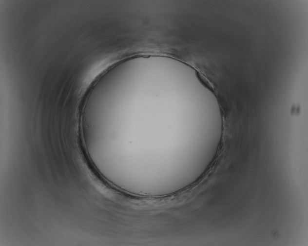 X0000092080005200710101050