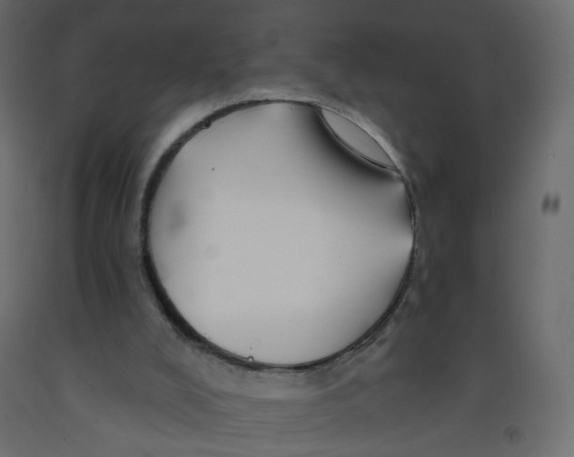 X0000092080008200710101050