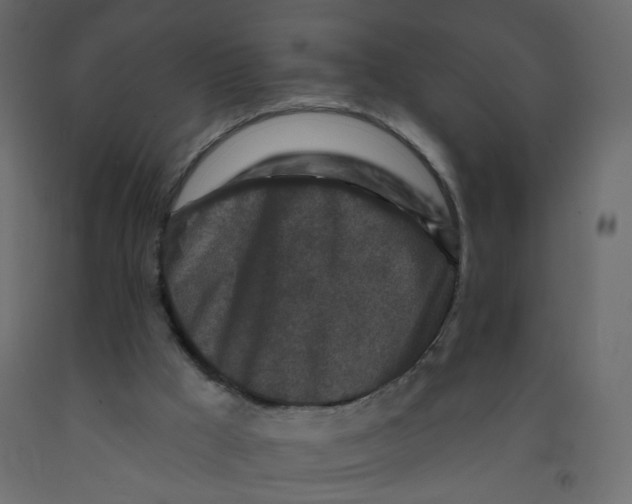 X0000092080009200710101050