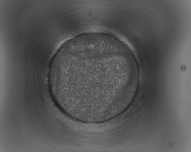 X0000092080010200710101050