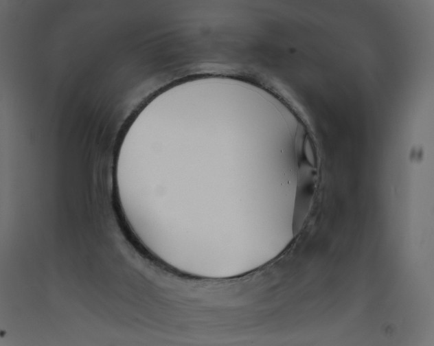 X0000092080011200710101050