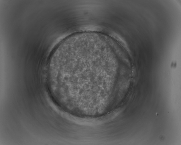 X0000092080012200710101050