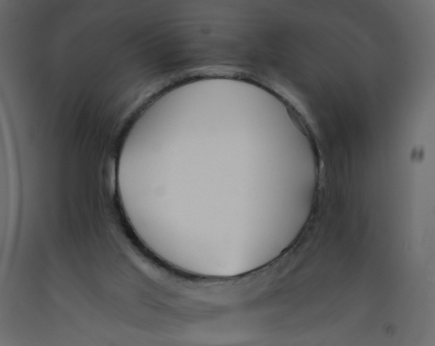 X0000092080013200710101050