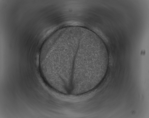 X0000092080014200710101049