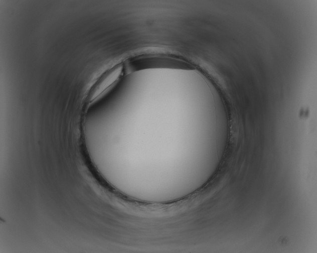 X0000092080015200710101049