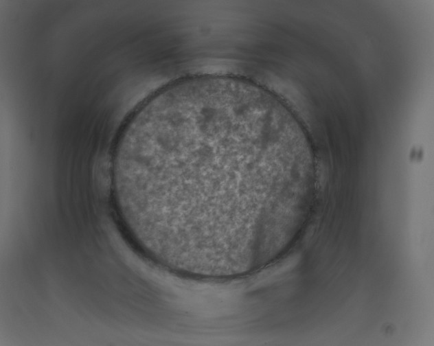 X0000092080016200710101049