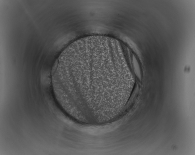 X0000092080017200710101049