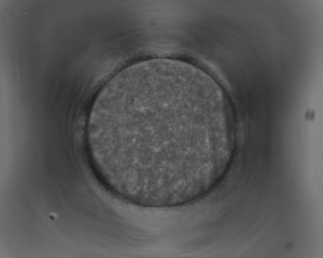 X0000092080018200710101049