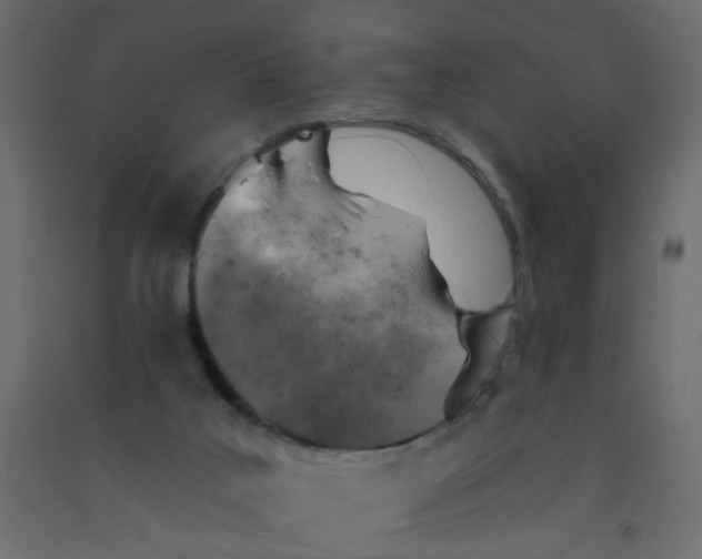 X0000092080019200710101049