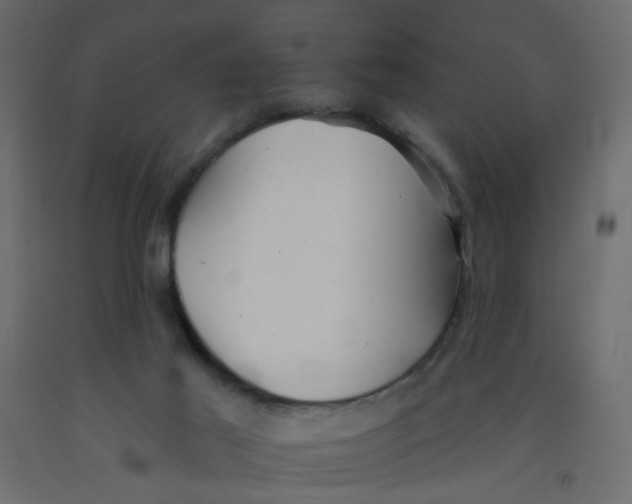 X0000092080021200710101049