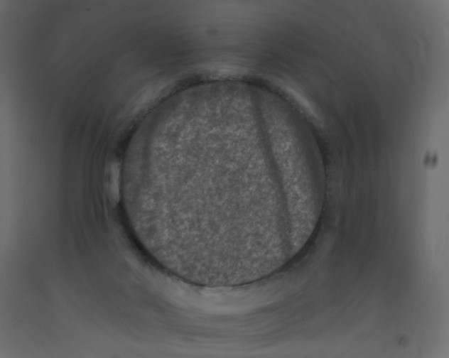 X0000092080022200710101049