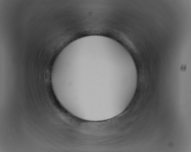 X0000092080025200710101049