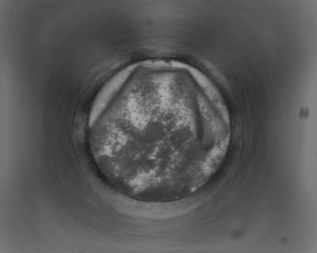 X0000092080026200710101049