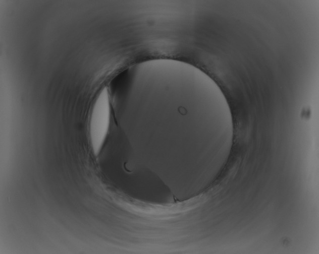 X0000092080027200710101049