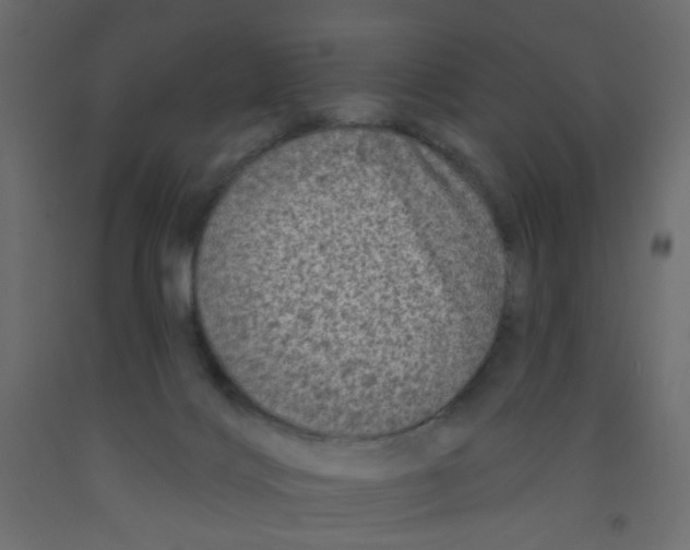 X0000092080028200710101049