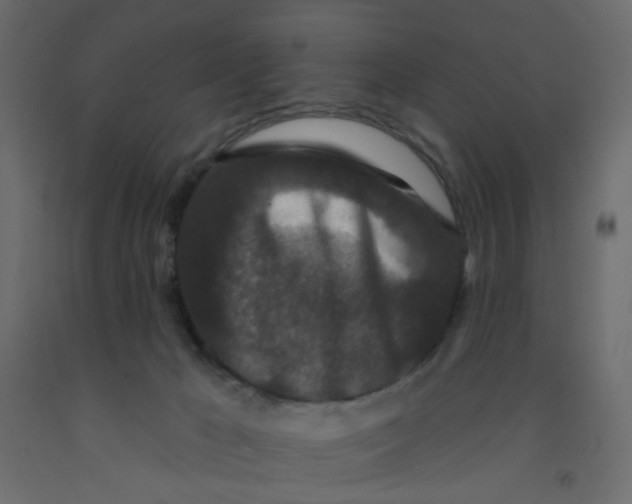 X0000092080029200710101049